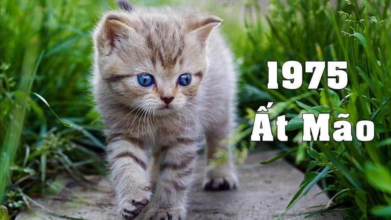 Tranh Phong Thủy Người Tuổi Ất Mão: Chọn Lựa Và Ý Nghĩa Để Tăng Tài Lộc